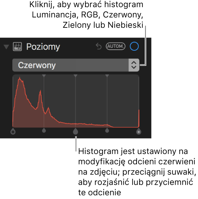 Narzędzia poziomów oraz histogram dla zmiany odcieni koloru czerwonego na zdjęciu.