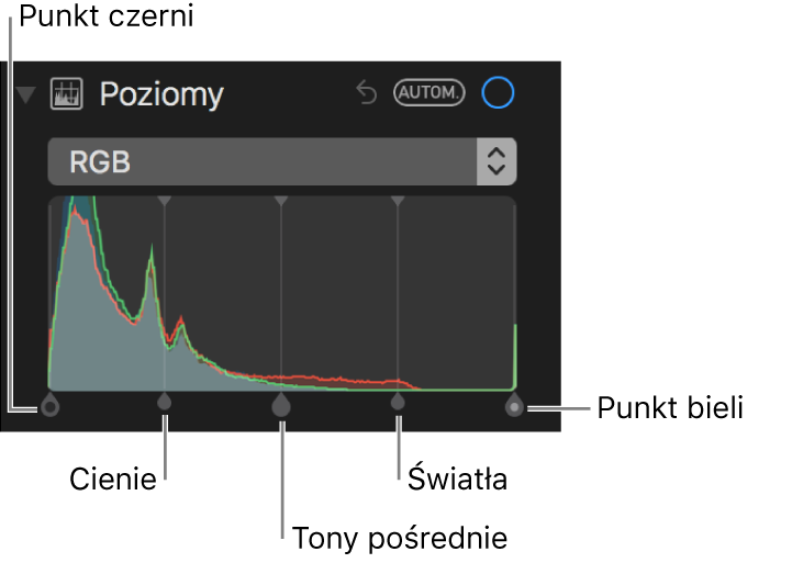 Narzędzia poziomów oraz histogram RGB z (od lewej do prawej) punktem czerni, cieniami, tonami pośrednimi, światłami i punktem bieli.