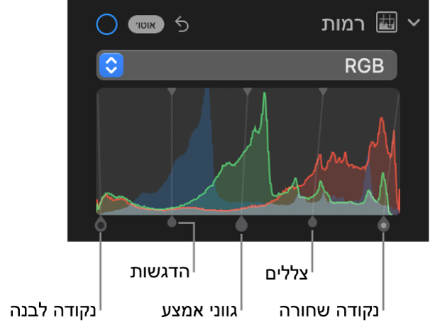 כלי בקרה ״רמות״ בחלונית ״התאם״ המציגה את היסטוגרמת ה‑RGB עם ידיות מתחתיה, כולל (משמאל לימין) נקודה שחורה, צללים, גווני אמצע, הדגשות ונקודה לבנה.