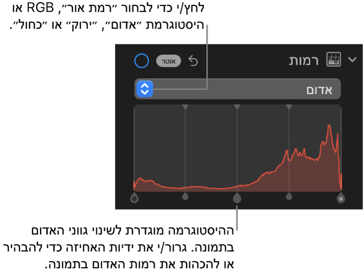 כלי בקרה ״רמות״ בחלונית ״התאם״ המציגה את היסטוגרמת האדום עם ידיות מתחתיה, לתיקון רמות האדום בתמונה.