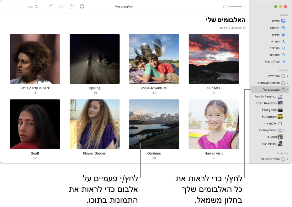 החלון ״תמונות״ כשאפשרות ״האלבומים שלי״ מסומנת בסרגל הצד, והאלבומים שיצרת מוצגים בחלון הימני.