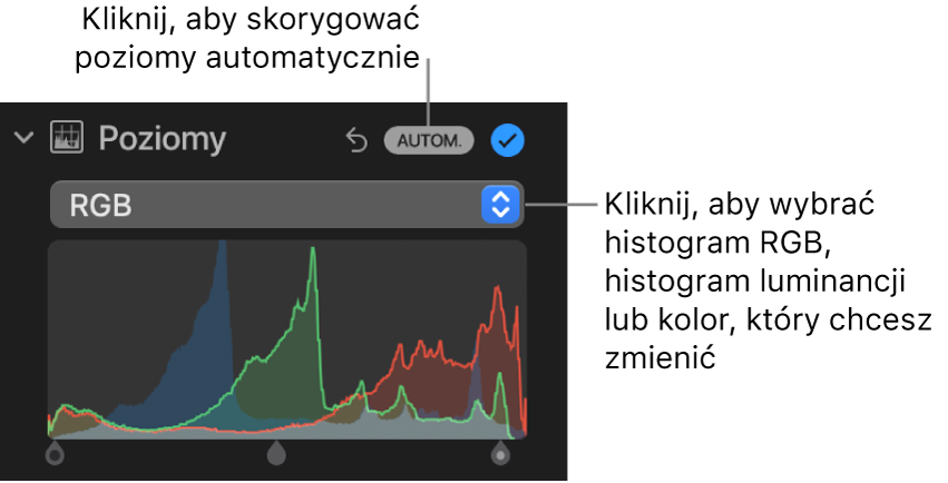 Narzędzia pod etykietą Poziomy w panelu Korekta. W prawym górnym rogu widoczny jest przycisk Autom., a poniżej znajduje się histogram RGB.