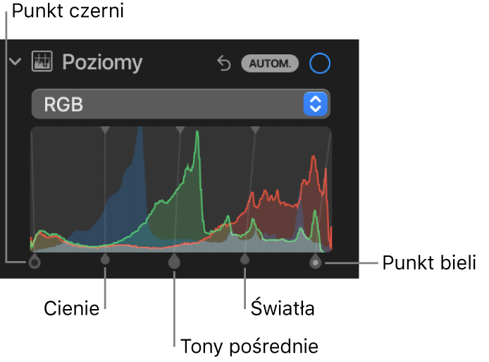 Narzędzia pod etykietą Poziomy w panelu Korekta. Widoczny jest histogram RGB ze znajdującymi się pod nim uchwytami, w tym (od lewej do prawej) punktem czerni, cieniami, tonami pośrednimi, światłami i punktem bieli.