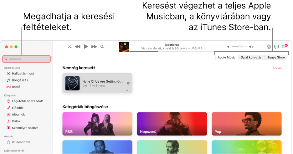 Az Apple Music ablaka a keresési mezővel a bal felső sarokban, a kategóriák listájával az ablak közepén, valamint az Apple Music, a Könyvtár és az iTunes Store elemekkel a jobb felső sarokban. Adja meg a keresési feltételeket a keresési mezőben, majd válassza ki, hogy az Apple Musicban, csak a saját könyvtárában vagy az iTunes Store-ban szeretne keresni.