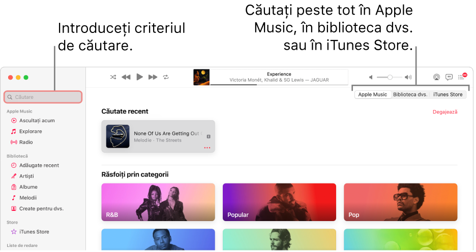 Fereastra Apple Music afișând câmpul de căutare în colțul din stânga sus, lista de categorii în centrul ferestrei și Apple Music, Biblioteca dvs. și iTunes Store disponibile în colțul din dreapta sus. Introduceți criteriul de căutare în câmpul de căutare, apoi alegeți să căutați în întreg serviciul Apple Music, doar în biblioteca dvs. sau în iTunes Store.