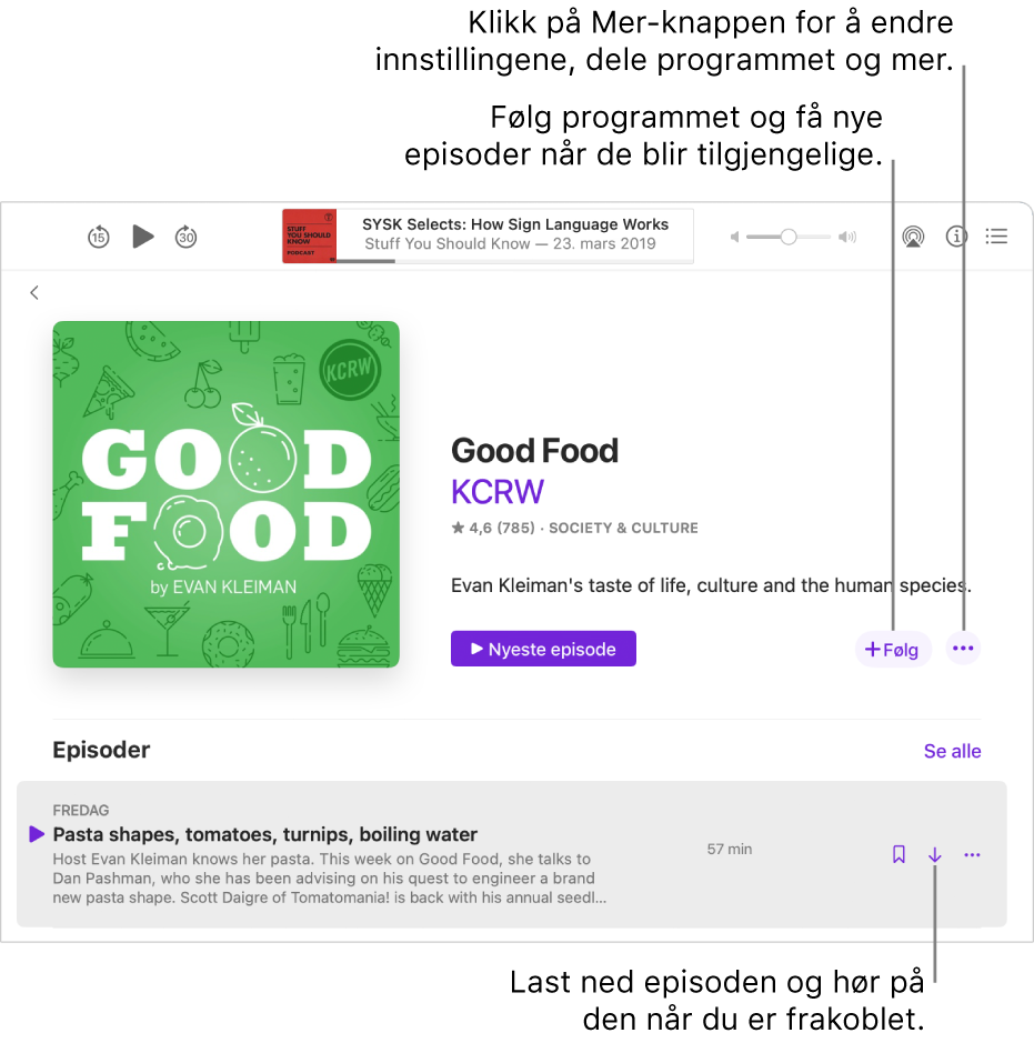 Skjerm med informasjon om programmet. Klikk på Følg for å få nye episoder når de blir tilgjengelige. Klikk på Mer-knappen for å endre innstillinger, dele programmet og mer. Last ned episoden hvis du vil lytte til den når du ikke er koblet til internett.