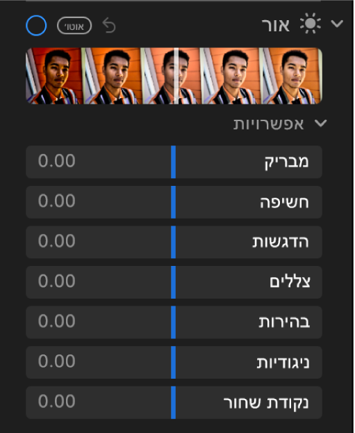 האזור ״אור״ בחלונית ״התאם״, המציג מחוונים של ״זוהר״, ״חשיפה״, ״הדגשות״, ״צללים״, ״בהירות״, ״ניגודיות״ ו״נקודה שחורה״.
