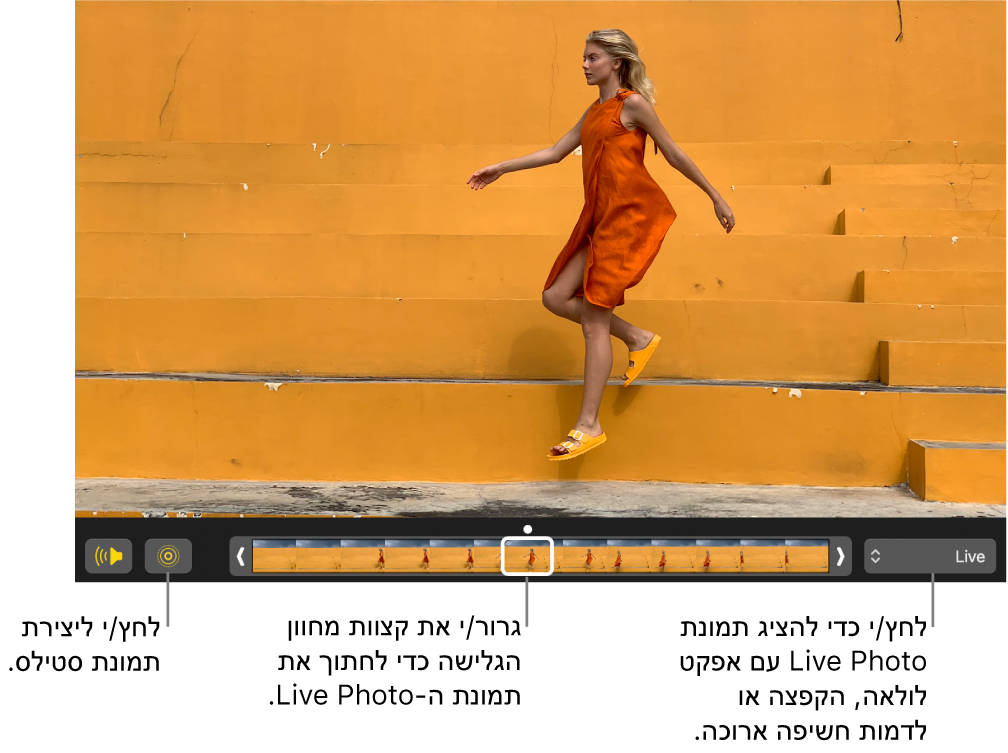 תמונת Live Photo בתצוגת עריכה עם מחוון מתחתיה שמציג את הפריימים של התמונה. הכפתור Live Photo והכפתור ״רמקול״ נמצאים בצד שמאל של המחוון, ומימינו מופיע תפריט קופצני שניתן להשתמש בו להוספת הפעלה ברצף, קפיצה או אפקט חשיפה ארוכה.