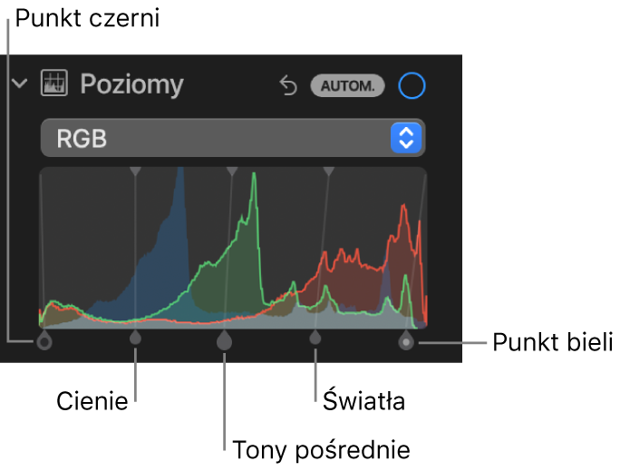 Narzędzia pod etykietą Poziomy w panelu Korekta. Widoczny jest histogram RGB ze znajdującymi się pod nim uchwytami, w tym (od lewej do prawej) punktem czerni, cieniami, tonami pośrednimi, światłami i punktem bieli.