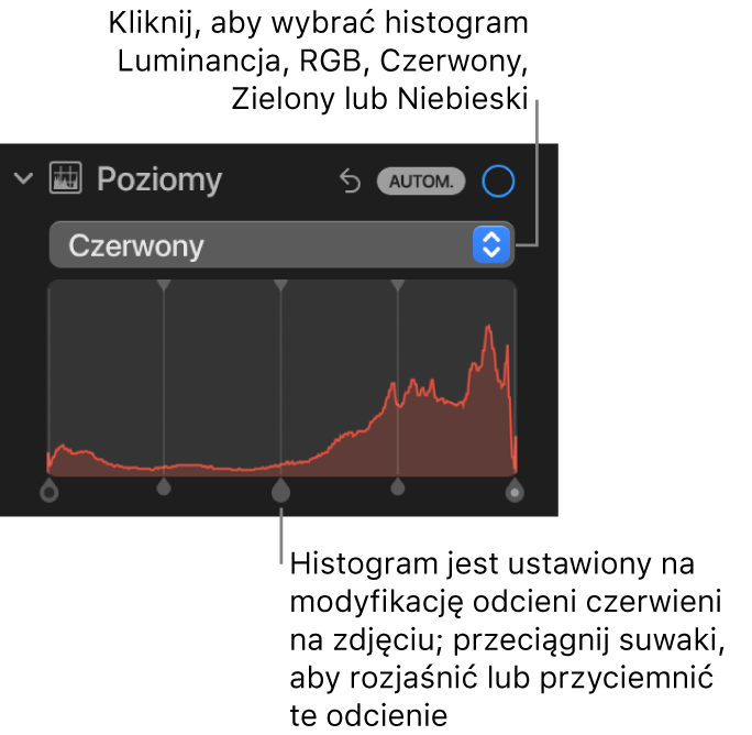 Narzędzia pod etykietą Poziomy w panelu Korekta. Widoczny jest histogram koloru czerwonego ze znajdującymi się pod nim uchwytami do regulacji poziomów czerwieni na zdjęciu.