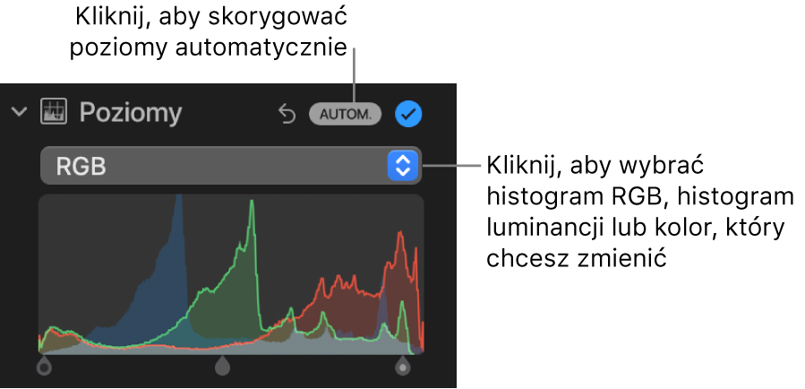 Narzędzia pod etykietą Poziomy w panelu Korekta. W prawym górnym rogu widoczny jest przycisk Autom., a poniżej znajduje się histogram RGB.