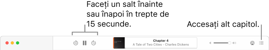 Playerul pentru cărți audio din aplicația Cărți afișează, de la stânga la dreapta, butoanele Viteză de redare, Salt înainte și Salt înapoi, Temporizator de adormire, titlul și autorul cărții audio aflate în redare, glisorul Volum și butonul Tablă de materii.