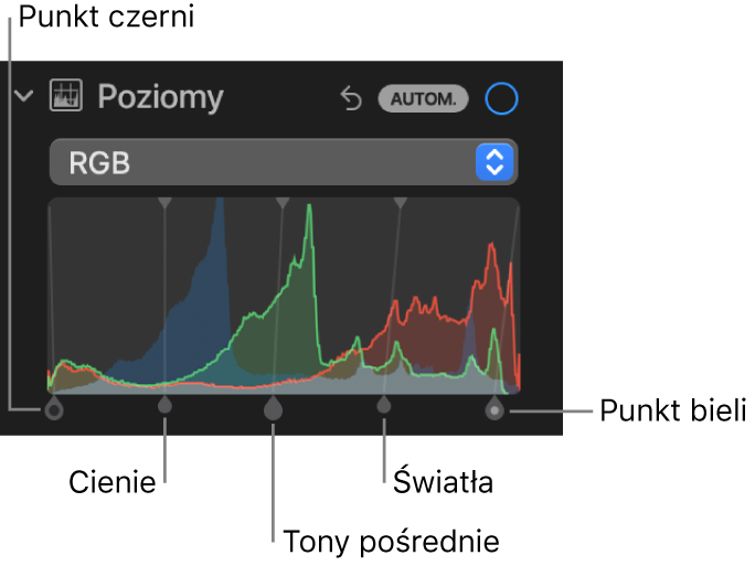 Narzędzia pod etykietą Poziomy w panelu Korekta. Widoczny jest histogram RGB ze znajdującymi się pod nim uchwytami, w tym (od lewej do prawej) punktem czerni, cieniami, tonami pośrednimi, światłami i punktem bieli.