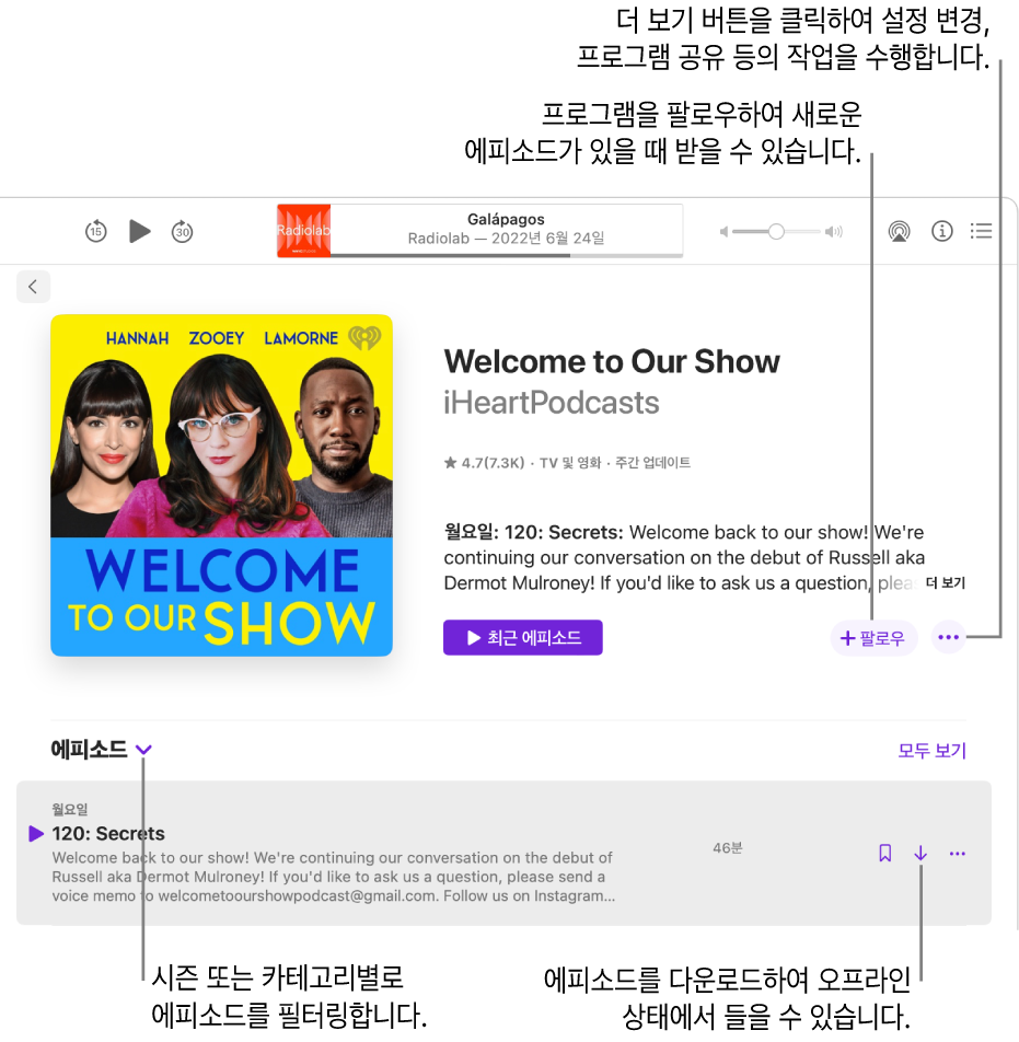 팟캐스트에 대한 정보 페이지. 팔로우를 클릭하여 새로운 에피소드가 나오면 에피소드를 받을 수 있음. 더 보기 버튼을 클릭하면 설정을 변경하고 프로그램을 공유하는 등의 작업을 할 수 있음. 시즌 또는 카테고리를 기준으로 에피소드를 필터링할 수 있음. 에피소드를 다운로드하면 인터넷에 연결되지 않아도 에피소드를 들을 수 있음.