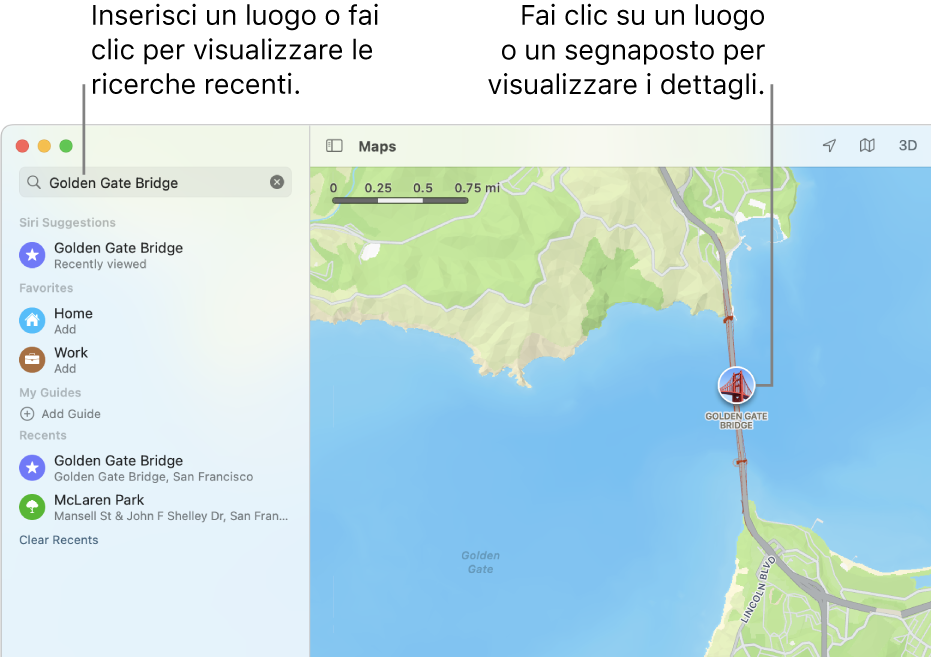 Inserisci una posizione nel campo di ricerca oppure fai clic su di esso per visualizzare le ricerche più recenti. Fai clic su un punto di riferimento o un segnaposto per visualizzare i dettagli.