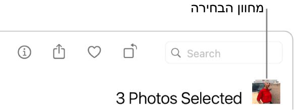 מחוון בחירה המציג ששלוש תמונות נבחרו.