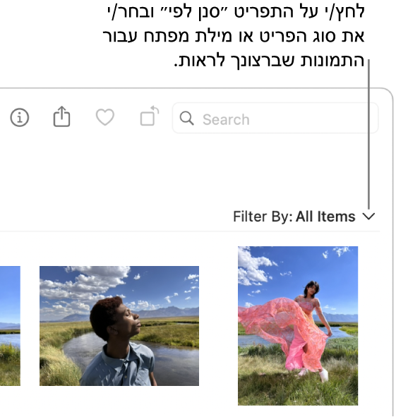 התפריט הקופצני ״סנן לפי״ מוגדר לאפשרות ״הצג את כל הפריטים״.