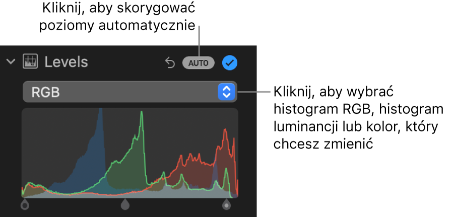 Narzędzia pod etykietą Poziomy w panelu Korekta. W prawym górnym rogu widoczny jest przycisk Autom., a poniżej znajduje się histogram RGB.