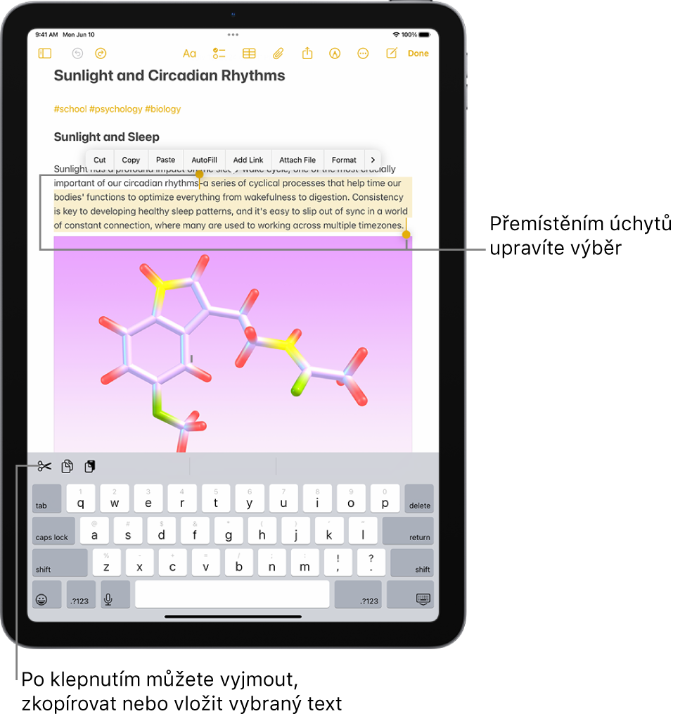 V poznámce v aplikaci Poznámky je vybrán text. Nad vybraným textem je vidět nabídka s tlačítky Vyjmout, Kopírovat a Vložit. Vybraný text je zvýrazněný a na obou koncích se zobrazují úchyty pro úpravu výběru.