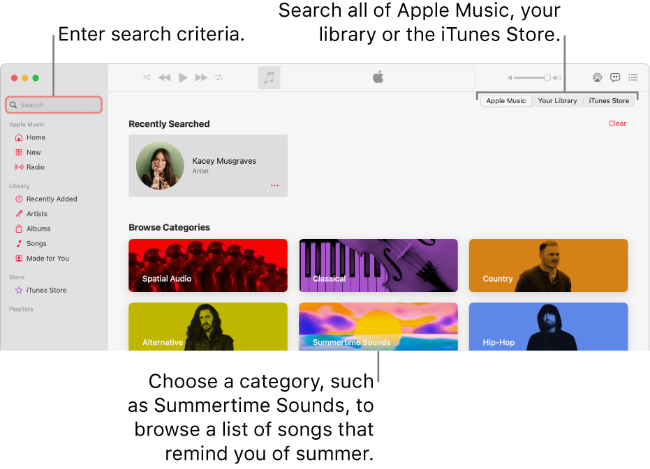 The Apple Music window showing the search field in the top-left corner, the list of categories in the centre of the window and Apple Music, Your Library and iTunes Store available in the top-right corner. Enter search criteria in the search field, then choose to search all of Apple Music, just your library or the iTunes Store.