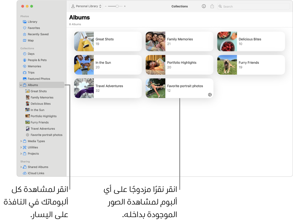 نافذة الصور مع تحديد الألبومات في الشريط الجانبي، وتظهر الألبومات على اليسار.