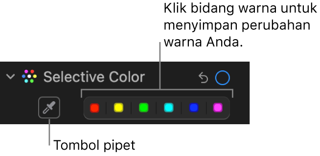 Kontrol Pilihan Warna di panel Sesuaikan, menampilkan tombol Pipet dan sumber warna.