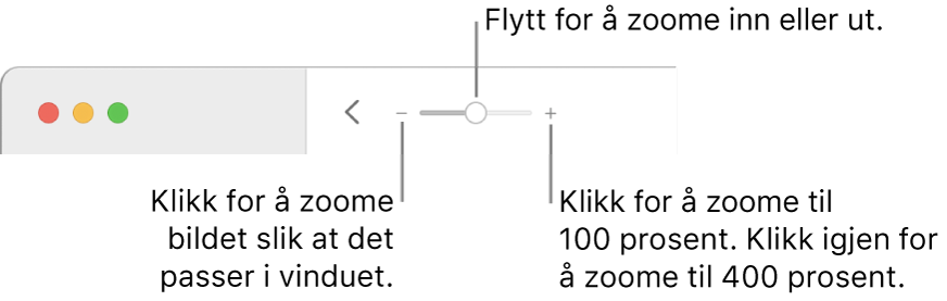 Verktøylinjen med zoomkontroller.