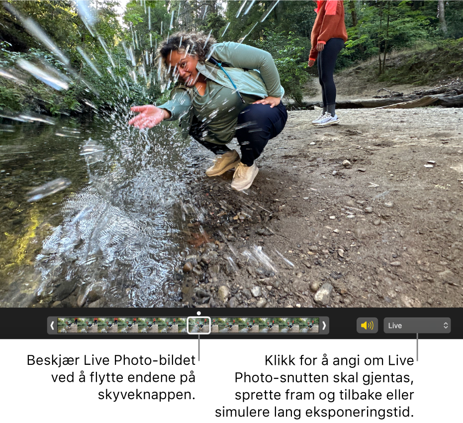 Et Live Photo-bilde i redigeringsvisning med en skyveknapp under som viser bildene i bildet. Høyttaler-knappen er til høyre for skyveknappen, og det er også en lokalmeny du kan bruke til å legge til en sløyfe-, fram og tilbake- eller lang eksponering-effekt.