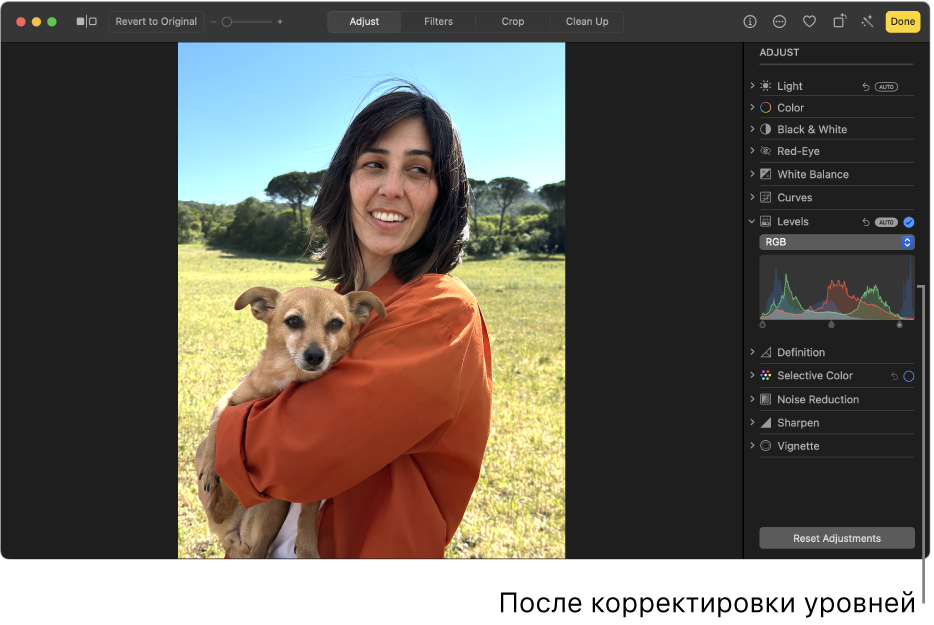 Фотография после коррекции уровней.