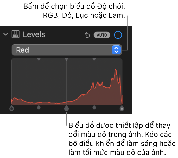 Các điều khiển Mức trong khung Điều chỉnh, đang hiển thị biểu đồ Đỏ với các bộ điều khiển bên dưới để điều chỉnh các mức đỏ của ảnh.