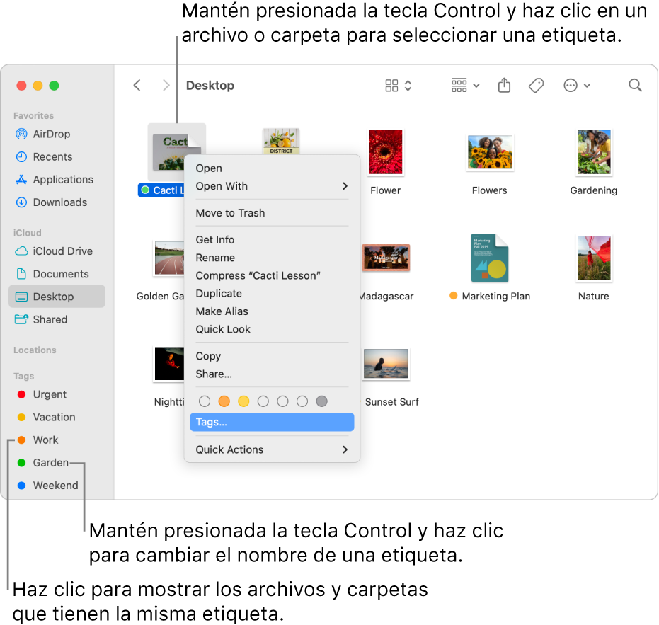 Una ventana del Finder que contiene archivos y carpetas, donde uno de los archivos está seleccionado. En el menú de funciones rápidas, hay opciones de colores para las etiquetas y Etiquetas está resaltada.