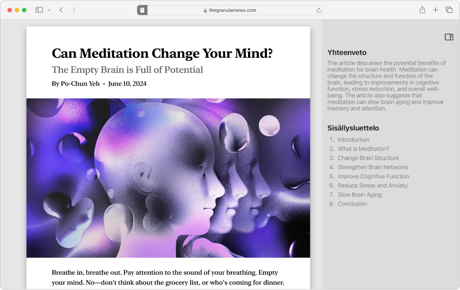 Lukija-ikkuna, jossa näkyy artikkelin alku, sisällysluettelo ja yhteenveto artikkelista.