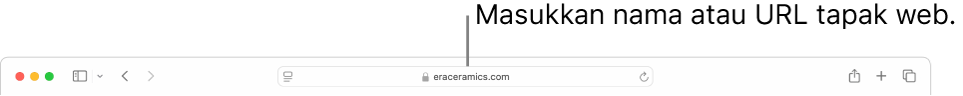 Medan Carian Pintar Safari, tempat anda boleh memasukkan nama tapak web atau URL.