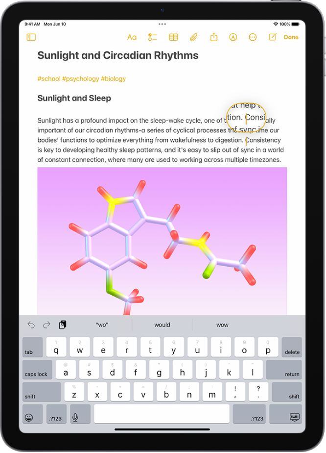 A note showing the insertion point positioned where text will be inserted or edited. The surrounding text is magnified to make it easier to place the insertion point.