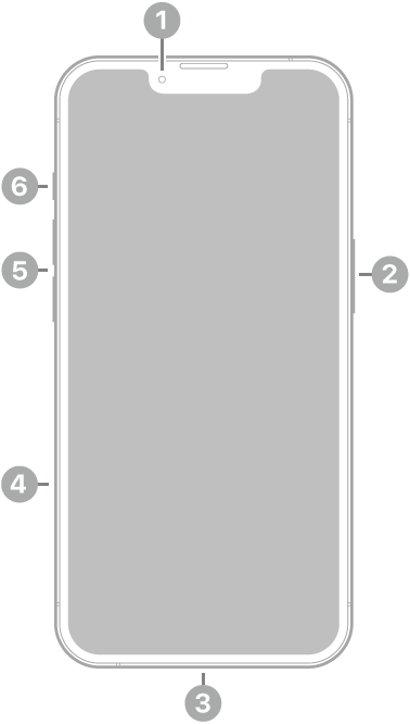 The front view of iPhone 16e. The front camera is at the top center. The side button is on the right side. The USB-C connector is on the bottom. On the left side, from bottom to top, are the SIM tray, the volume buttons, and the Action button.