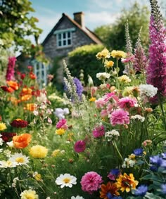 colorful flowers in front of a house with blue sky and clouds behind them, all around the garden