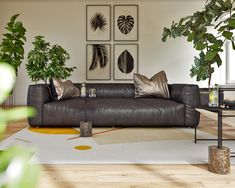 a living room filled with furniture and plants