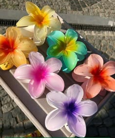 #aesthetic #vogue #accessories #mode #beauty #fashion #clips #hairclip Thinning Thick Hair, Hair Tie Accessories, Hair Accessories Clips, Hair Claw Clips, Girly Accessories, Claw Clips, Flower Clip, Diy Hair Accessories, Flower Hair Clips