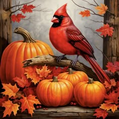 a painting of a cardinal sitting on a branch surrounded by fall leaves and pumpkins