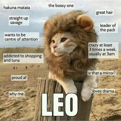 2,793 Likes, 42 Comments - zodiac signs (@zodiacsigns520) on Instagram Leo Things, Leo Aesthetic, Leo Zodiac Quotes, About Leo, Leo Woman, Leo Quotes, Leo Zodiac Facts, Leo Girl, Leo Traits