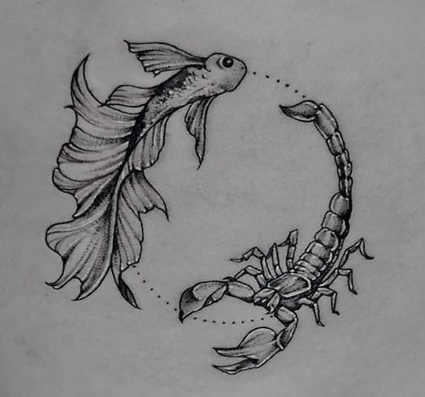 Scorpio Zodiac Tattoos, Pisces Tattoo Designs, Zodiac Stars, Pisces Tattoo, Astrology Tattoo, Aquarius Tattoo, Pisces And Scorpio, Scorpio Tattoo, Water Tattoo