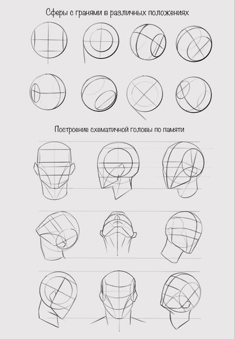 Human Face Reference Anatomy, Facial Structure Drawing Reference, Face Structure Reference Drawing, Face Dimensions Drawing, Drawing The Human Head Tutorials, Facial Proportions Drawing Tutorials, Loomis Method Practice, Loomis Head Practice, Realistic Head Drawing Reference