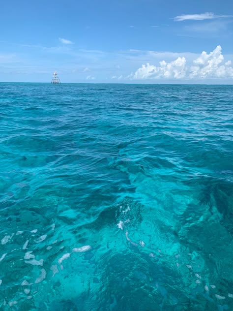 the water of key largo is sooooo beautiful, this pic isnt edited at all it just looks like that😍😍 the ocean is so beautiful #ocean #floridakeys #keylargo #water #waves #nature #beautiful Key Largo Aesthetic, Key West Florida Aesthetic, Florida Keys Aesthetic, Key West Aesthetic, Summer In Florida, Key West Beach, Florida Vibes, Summer Florida, Key West Beaches