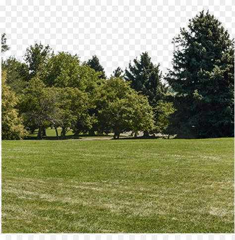 Tree Background For Editing, Tree Background Images, Background Park, Ground Background, Ground Photo, Render Background, Trees Background, Photoshop Landscape, Background Tree