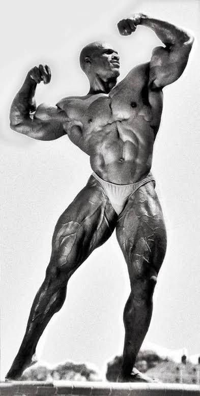 남성 근육, Human Anatomy For Artists, Muscle Reference, Schwarzenegger Bodybuilding, Bodybuilding Pictures, Man Anatomy, Ronnie Coleman, Male Pose Reference, Male Pose