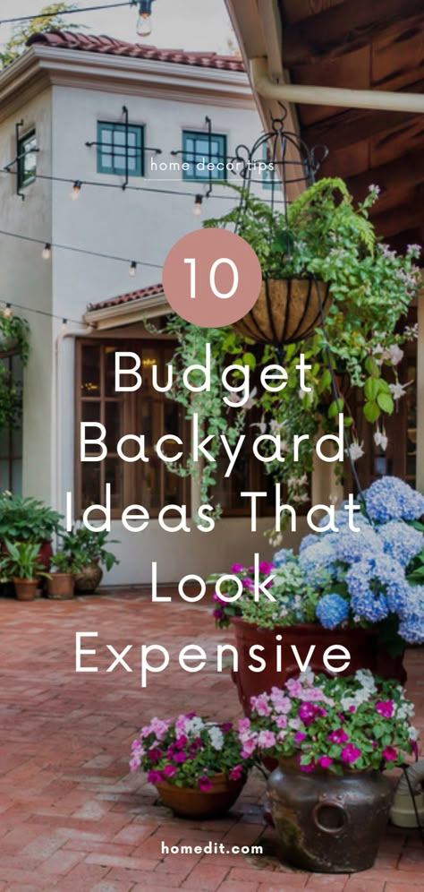 Backyard Setting Ideas, Easy To Maintain Backyard Landscaping, Updated Backyard Ideas, Backyard With No Trees, Cool Outdoor Spaces Backyard Ideas, Colorful Backyard Landscaping, Affordable Backyard Ideas Landscaping, Cheap Outdoor Landscaping Ideas, Large Space Landscaping Ideas