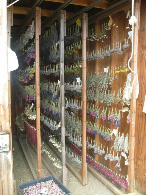 Magia Das Ervas, Herb Farm, Hobby Farms, Farm Gardens, Flower Farm, Drying Herbs, Permaculture, Field Trip, Herb Garden