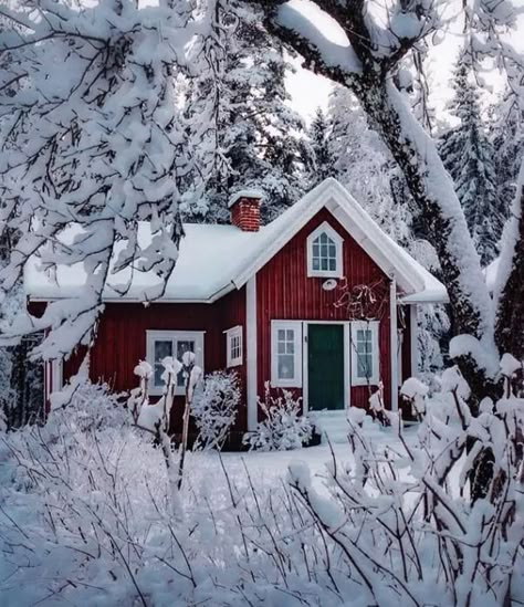 Swedish Houses, Swedish Homes, Scandinavian Houses, Scandinavian Cottage, Swedish Cottage, Red Houses, Sweden House, Red Cottage, Winter Cottage