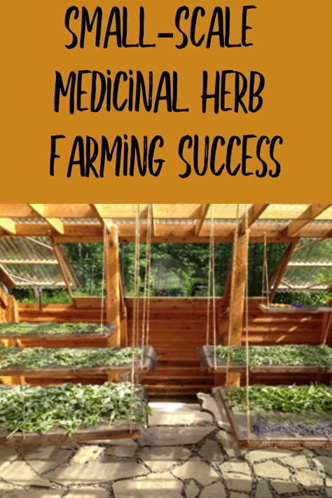 Moment Of Realization, Milk Dairy, Medicinal Herbs Garden, Herb Farm, Homestead Gardens, Medicinal Herb, Herbs Garden, Mother Earth News, Backyard Farming