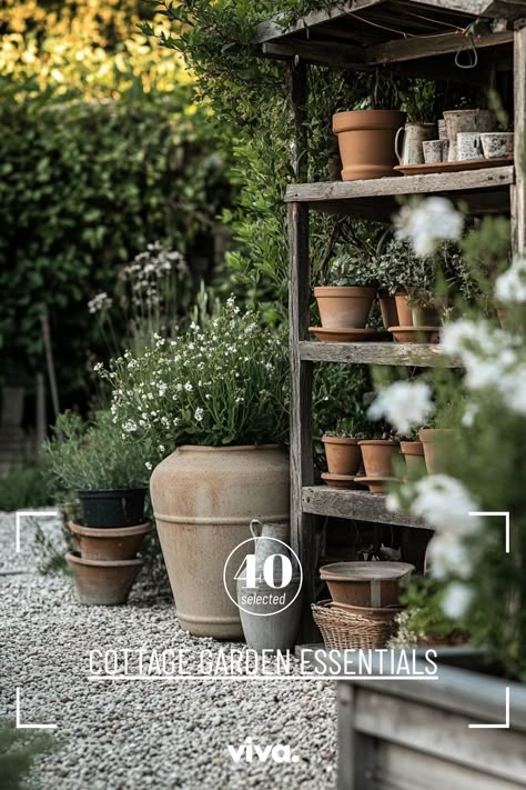 ♥ Dreaming of creating your own secret garden paradise? Explore the charm of cottage garden essentials with this collection of rustic gardens and beautiful English and French garden elements. From cottage garden design to cottage garden sheds, get inspired to transform your outdoor space into a whimsical retreat. 🌿🌸 #cottagegarden #dreamgardenideas #secretgarden #rusticgardens #englishgarden #frenchgarden #cottagegardenideas Matilda Goad Garden, French Style Garden Ideas, Cottage Garden In Pots, English Kitchen Garden, Garden Shop Aesthetic, Cottage Patio Garden Ideas, Country Garden Ideas Rustic, Small French Garden, Cottage Garden Design Farmhouse